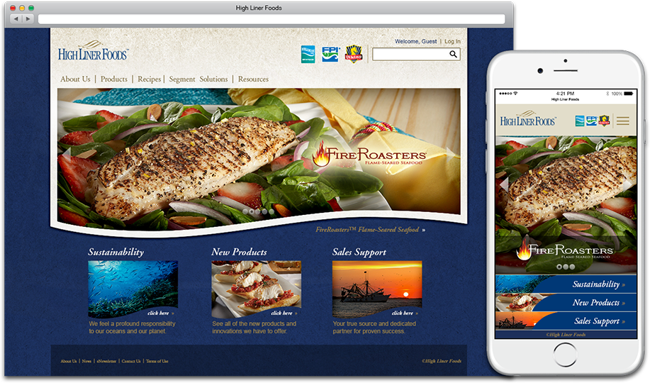 Web UI/UX